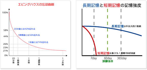 エビングハウスの忘却曲線　長期記憶と短期記憶の記憶強度